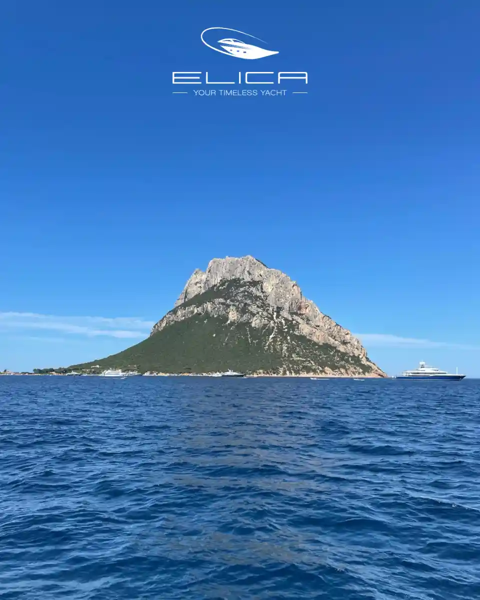 Diario di Bordo #5 - dettaglio